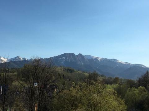 Deluxe Double Room Balcony